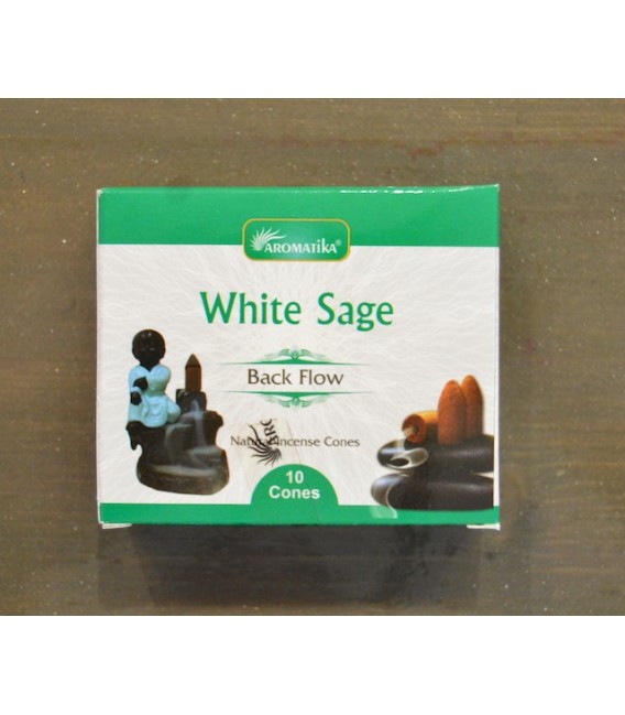 Sauge Blanche Sauge Blanche