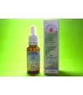 Fleurs de Bach Bio Pine Fleurs de Bach Bio Pine