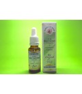 Fleurs de Bach Bio Sweet Chestnut Fleurs de Bach Bio Sweet Chestnut