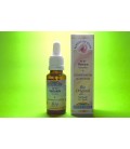 Fleurs de Bach Bio Vervain Fleurs de Bach Bio Vervain