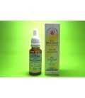 Fleurs de Bach Bio White Chestnut Fleurs de Bach Bio White Chestnut