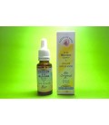 Fleurs de Bach Bio Wild Rose Fleurs de Bach Bio Wild Rose